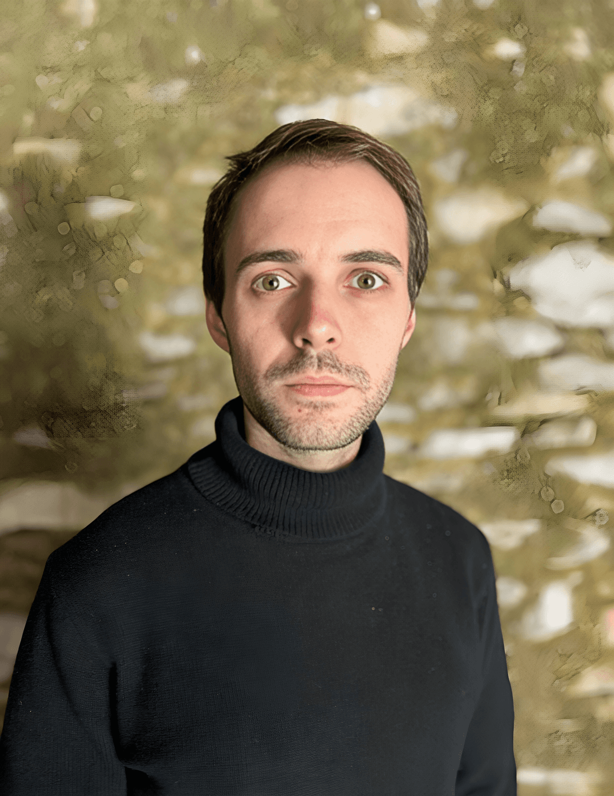 Noé Chapolard et l'ensemble Phaenomen